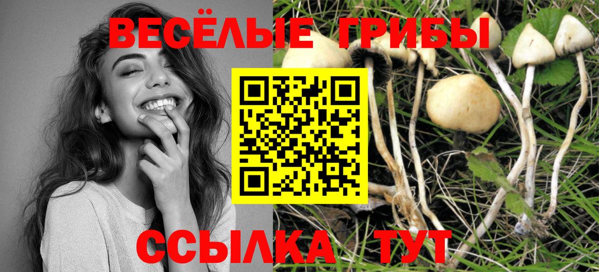 Псилоцибиновые грибы Magic Shrooms Карталы