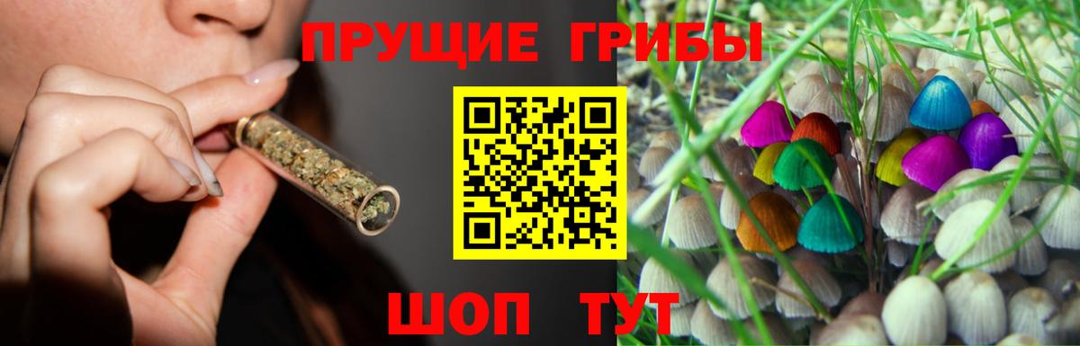 Карталы  Псилоцибиновые грибы мухоморы  Вход с VPN  Псилоцибиновые грибы GOLDEN TEACHER 